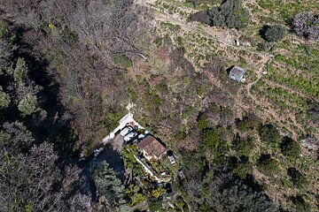 Aerial view of a house with cars on a steep, wooded slope, surrounded by bare and green trees, with a small shed higher up.