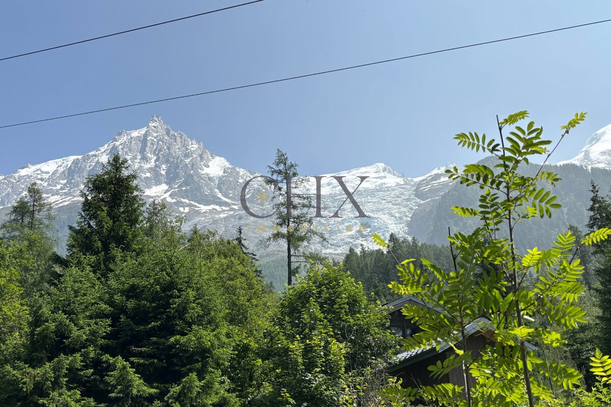 Snow-capped mountains and a glacier rise above a dense green forest under a clear blue sky.