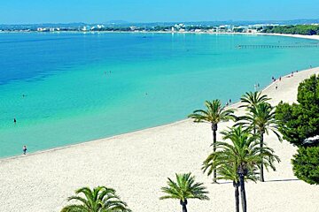 A beach with palm trees and turquoise water