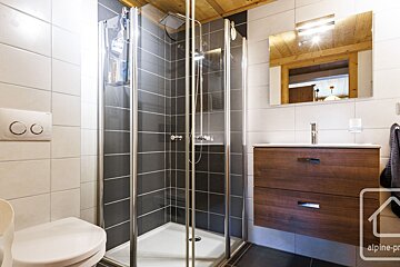 A bathroom with a toilet a sink and a shower with the word alpine on the bottom