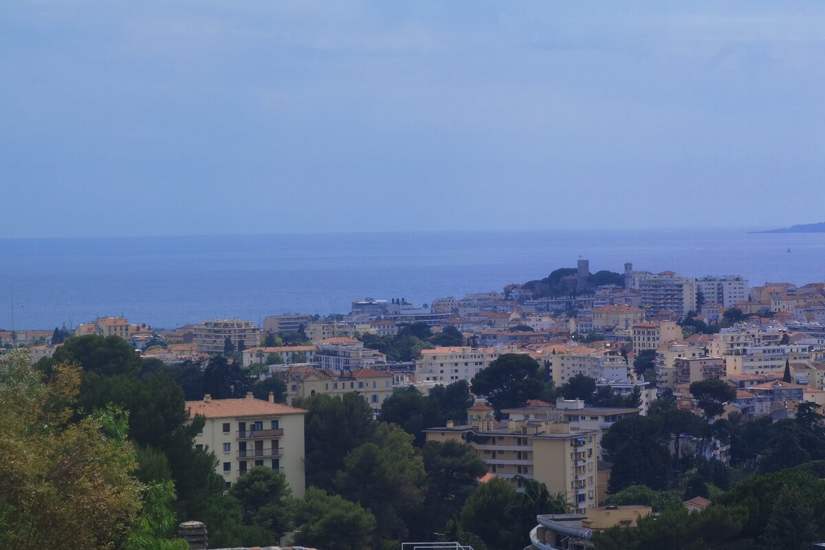 A city with a large body of water in the background