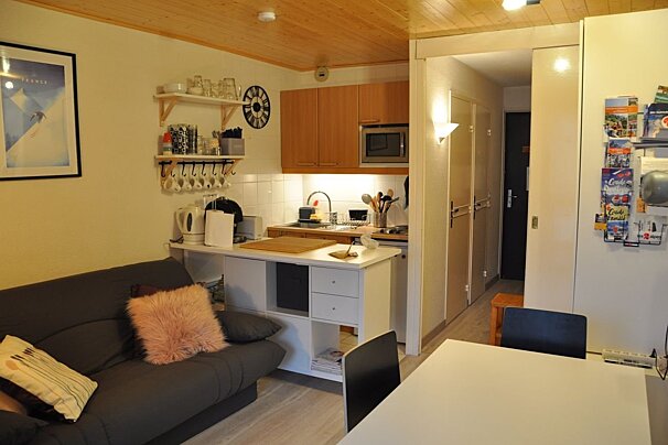 Cozy studio apartment interior featuring a dark sofa with a pink pillow, a compact kitchen, and a dining table.