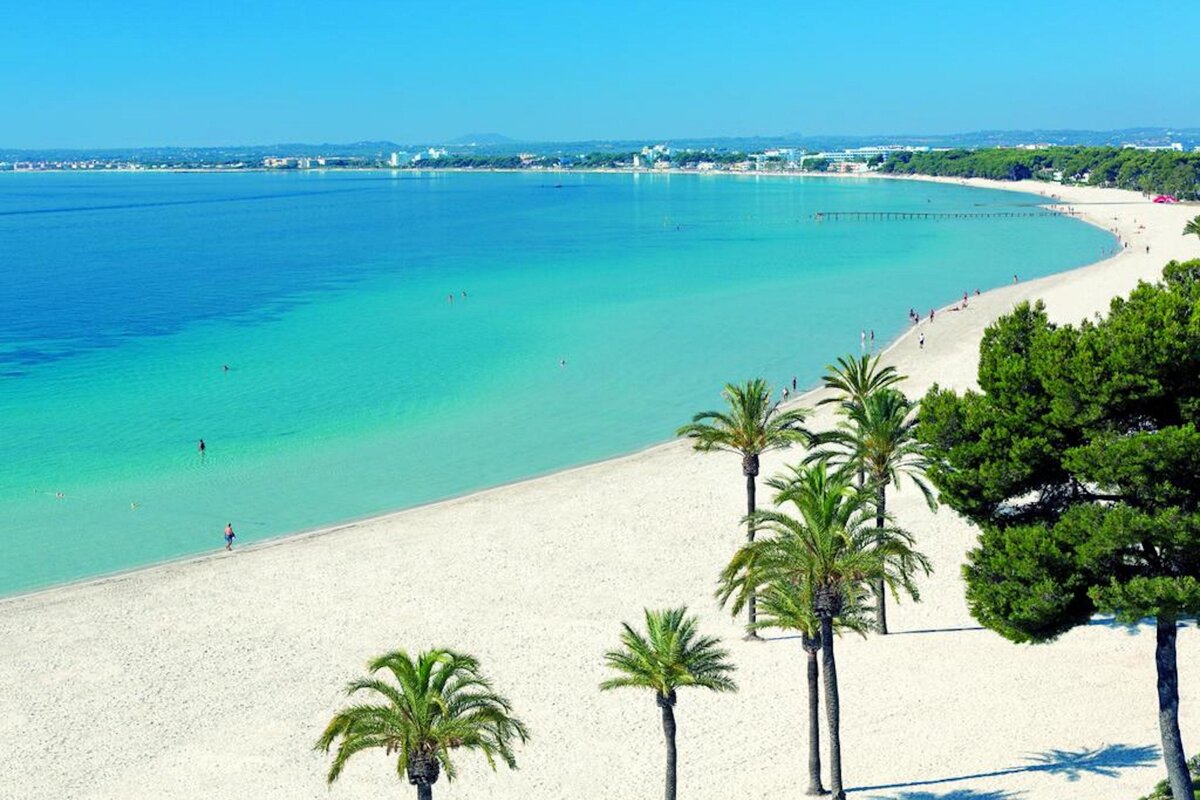 A beach with palm trees and turquoise water