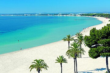 A beach with palm trees and turquoise water