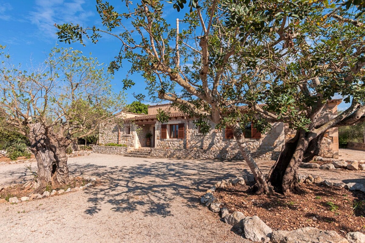 A stone house with a tree in front of it
