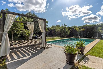 A large swimming pool with a canopy over it
