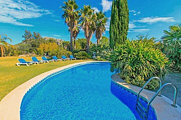 A large swimming pool surrounded by lawn chairs and palm trees