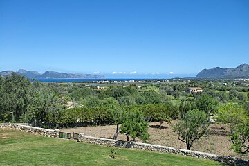 A lush green field with mountains in the background