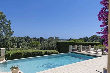 A large swimming pool with a dolphin design on it