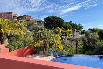 A large swimming pool is surrounded by palm trees and buildings