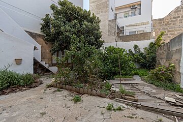 A garden with a fence and a tree in front of a building