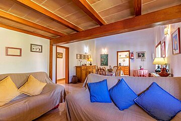 A living room with a couch and blue pillows