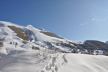 A snowy mountain with a green pole in the foreground