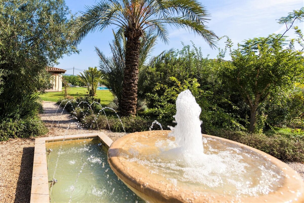 A fountain in a garden with a palm tree in the background