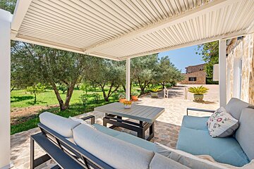 A sunny outdoor patio with modern furniture under a slatted roof, overlooking a vibrant olive grove and green field with a distant building.