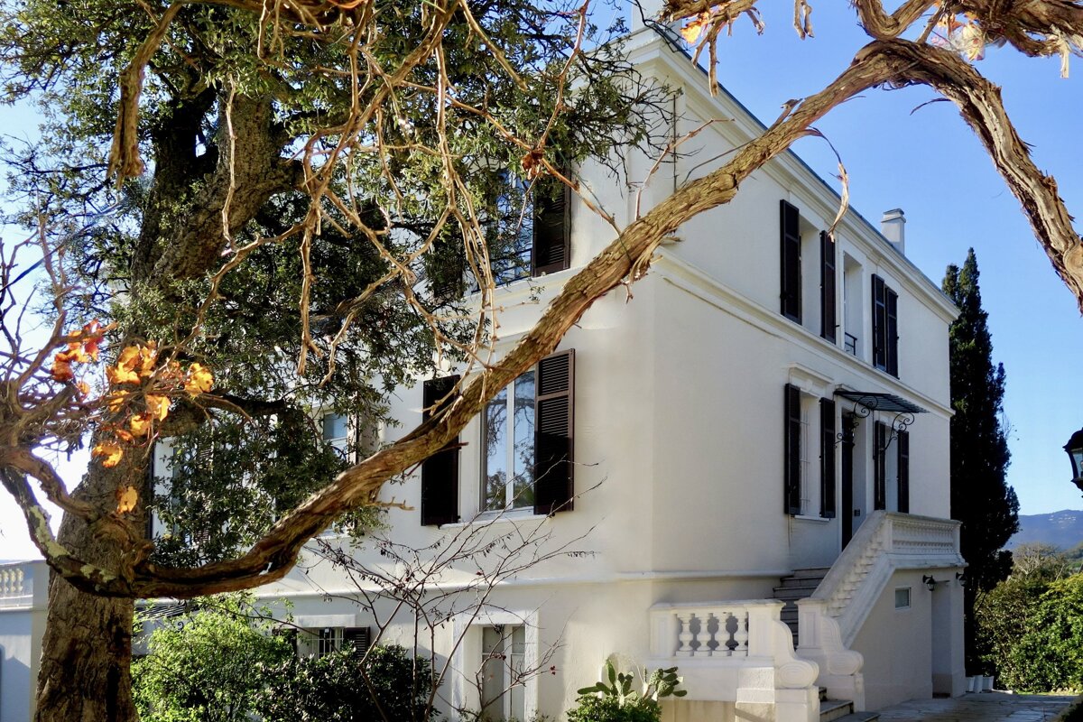A white house with black shutters is surrounded by trees