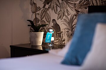 A bottle of clear water sits on a nightstand next to a plant