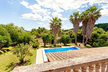 A swimming pool surrounded by palm trees on a sunny day