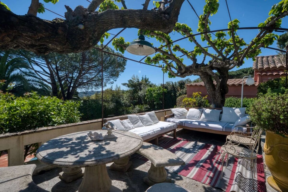 Sunny outdoor patio with a stone table, white cushioned sofas, and a large gnarled tree canopy providing shade over lush green surroundings.