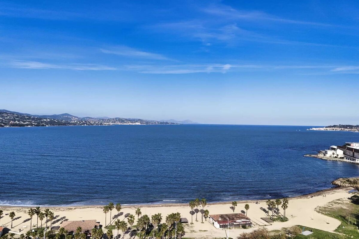 An aerial view of a beach with palm trees and mountains in the background