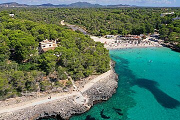 An aerial view of a beach surrounded by trees