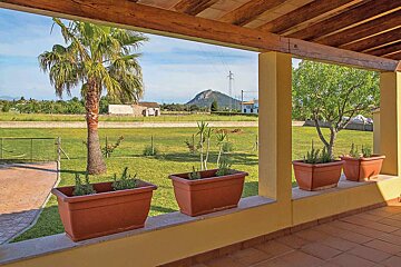 A view of a lush green field from a porch with potted plants