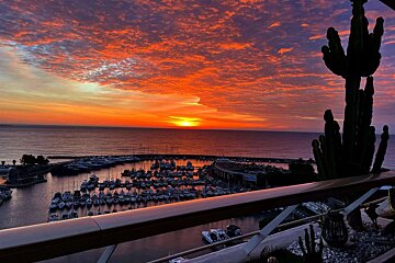 A sunset over a marina with boats and a cactus in the foreground