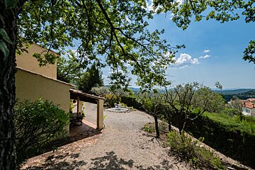 A driveway leading to a house with a tree in the foreground