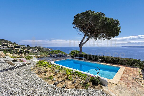 A swimming pool surrounded by chairs and a tree with the word provence on the bottom