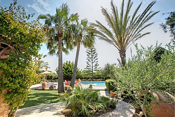 A lush green garden with palm trees and a swimming pool