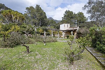 A lush green field with trees and a house in the background