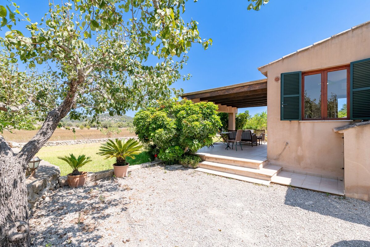 A house with a porch and a tree in front of it