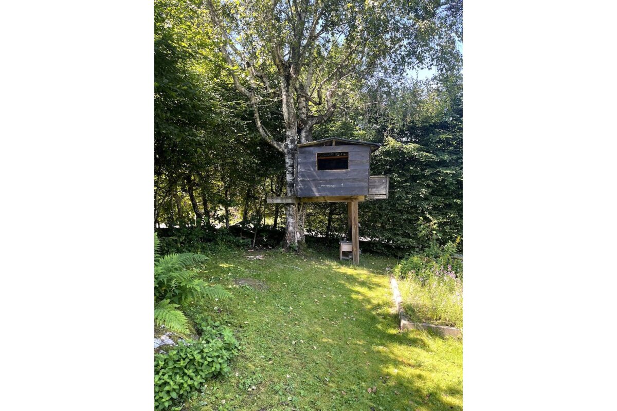 A tree house in the middle of a lush green forest