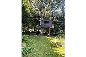 A tree house in the middle of a lush green forest