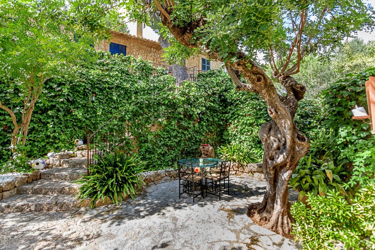 A patio with a table and chairs under a tree