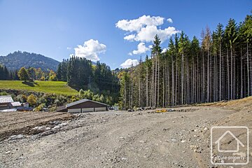 A sunny landscape shows a dirt construction area with a tall, dense forest and buildings. Distant green mountains rise under a blue sky with white clouds.