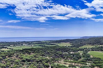 An aerial view of a lush green forest with the ocean in the background
