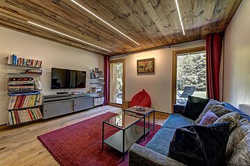 A cozy living room features a wooden ceiling with strip lights, a large red rug, a sofa, TV console, bookshelves, and glass doors leading to an outdoor area.