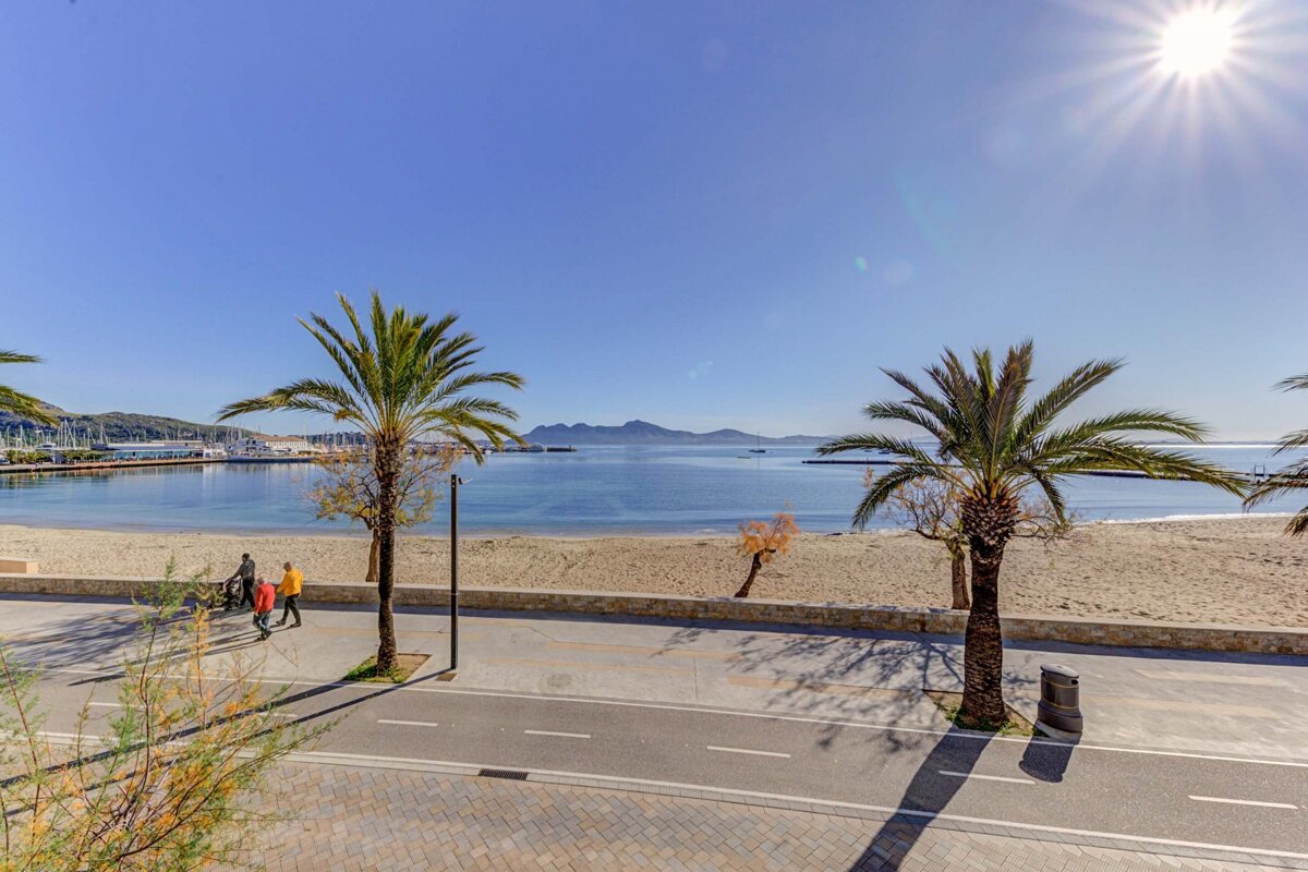 A beach with palm trees and a road in the foreground