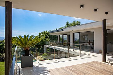 A balcony with a glass railing and a palm tree