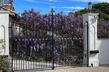 A wrought iron gate with purple flowers behind it