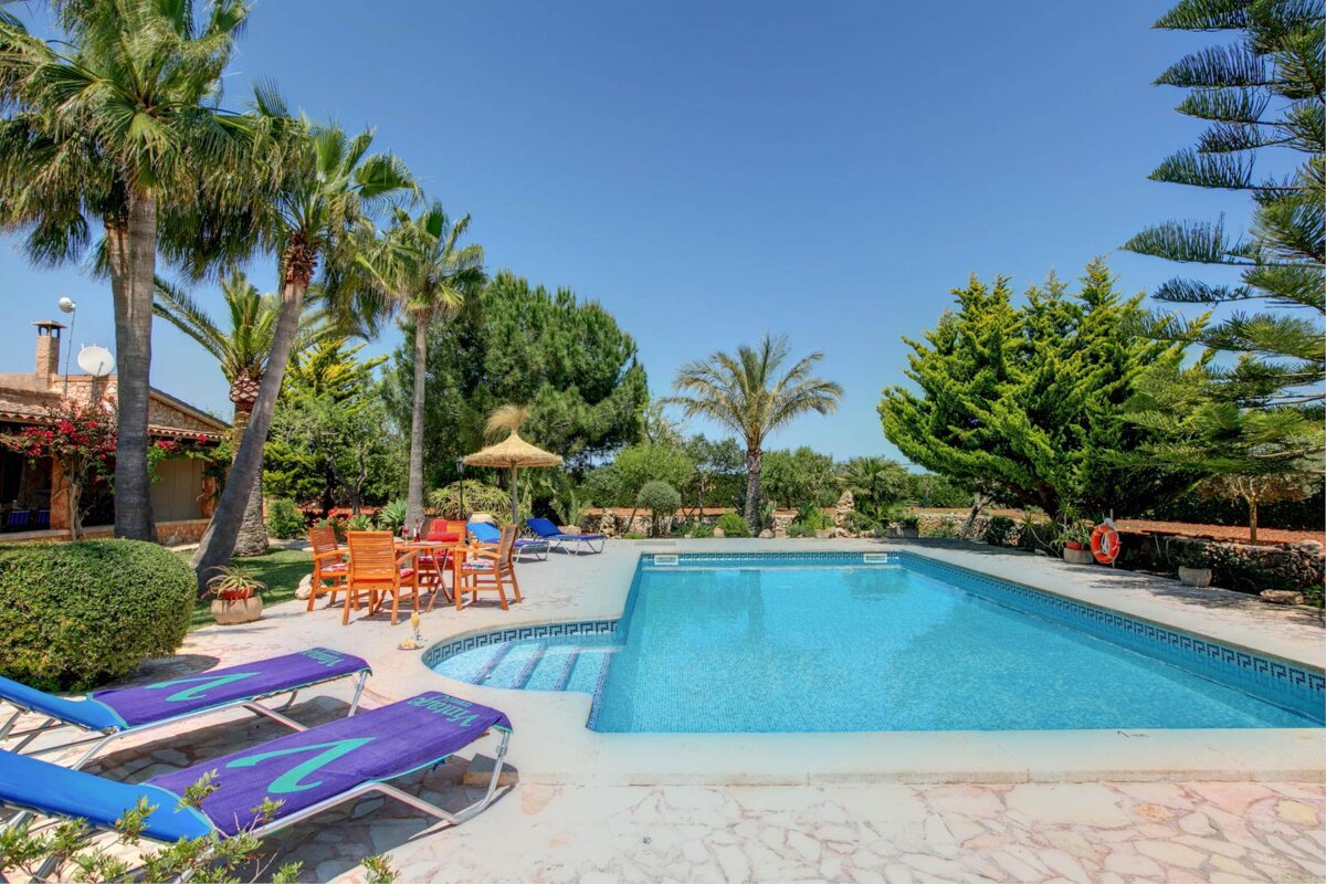 A large swimming pool surrounded by palm trees and chairs