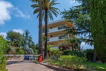 A building with a palm tree in front of it