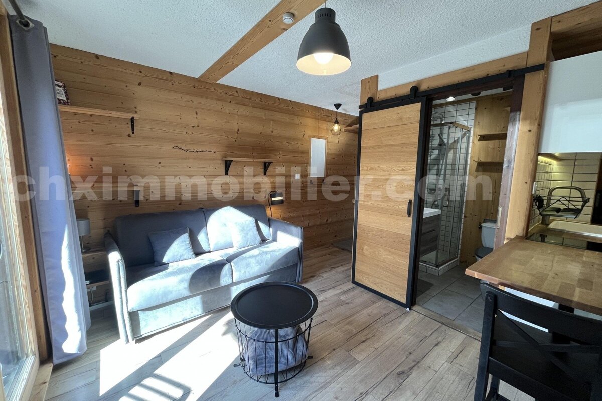 Cozy, modern studio with wood walls/floor, gray sofa, black coffee table, sliding barn door to bathroom, and small kitchen nook.