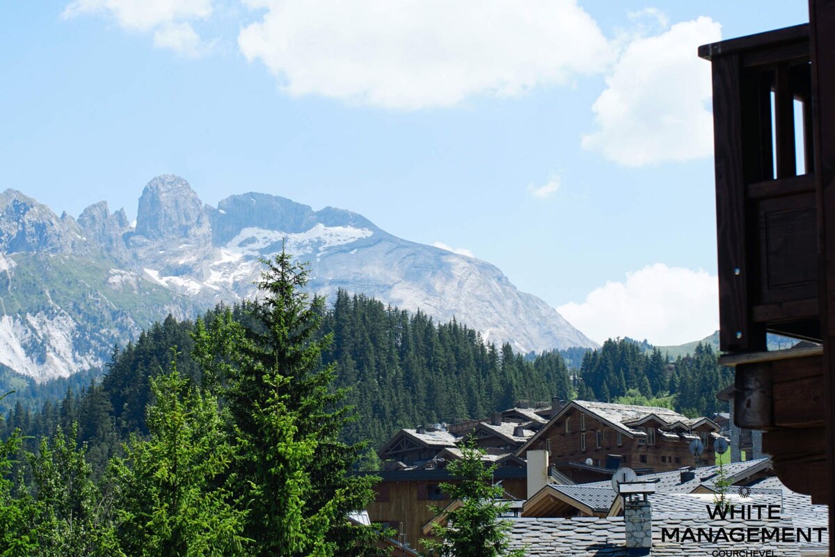 An alpine village with wooden chalets, dense pine forests, and distant snow-capped mountains under a blue sky, viewed from a balcony.