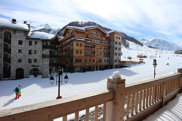 A bunk bed with a fur blanket and a ladder