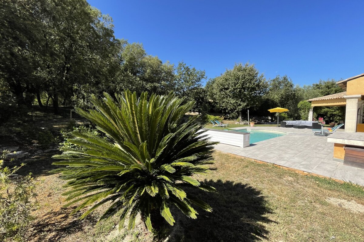 A palm tree in front of a swimming pool