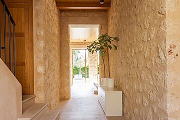 A stone hallway with stairs and a potted plant