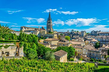 A city with a cathedral in the background and a vineyard in the foreground