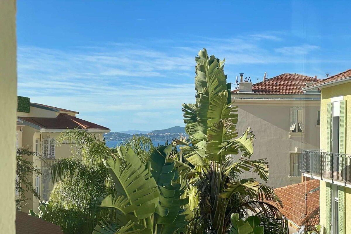A view of a city with a palm tree in the foreground